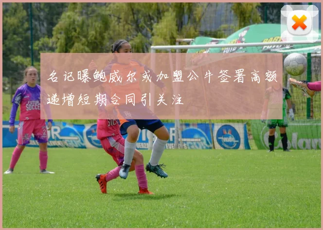 名记曝鲍威尔或加盟公牛签署高额递增短期合同引关注
