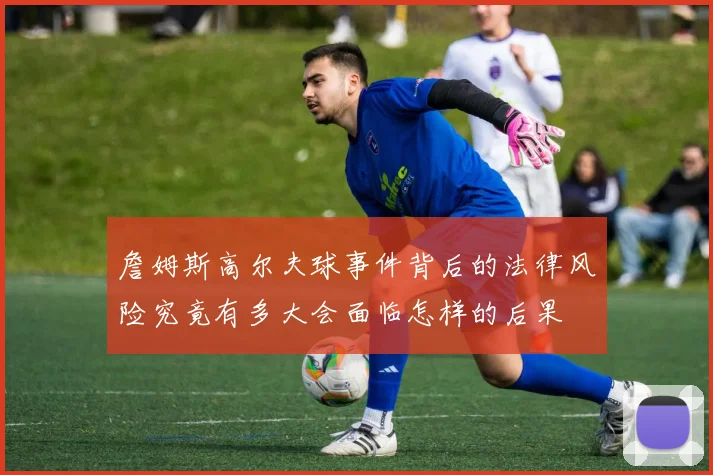 詹姆斯高尔夫球事件背后的法律风险究竟有多大会面临怎样的后果