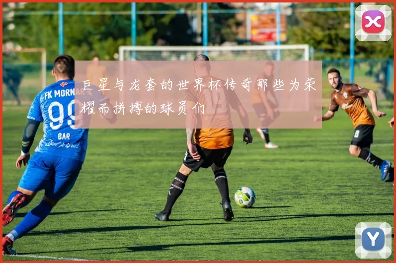 巨星与龙套的世界杯传奇那些为荣耀而拼搏的球员们